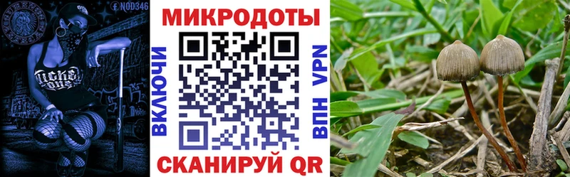 Псилоцибиновые грибы Magic Shrooms  Кушва 